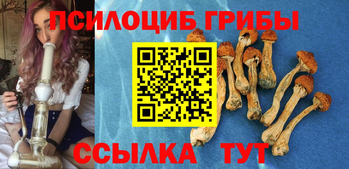 Кызыл  Галлюциногенные грибы мухоморы  что такое   Вход с VPN 