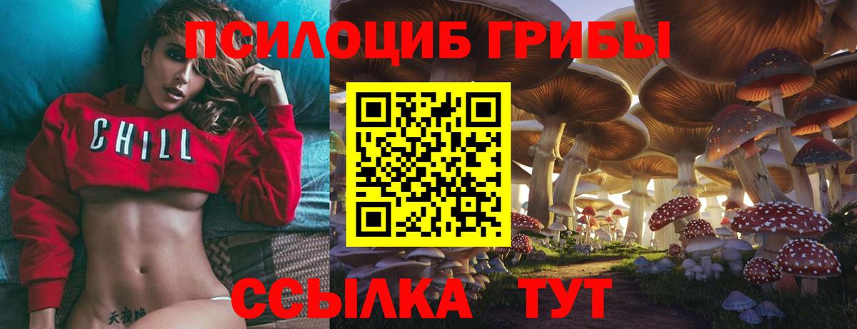 Псилоцибиновые грибы мухоморы Кызыл